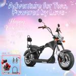 eAhora M1 2 Seater 37MPH Electric Bike for Adults