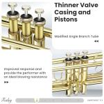 Fesley Bb Standard Trumpet Set for School Band