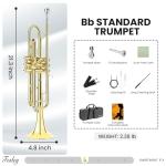 Fesley Bb Standard Trumpet Set for School Band