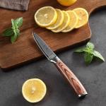 Wakoli Edib Damascus Chef Knife Set - 6pcs