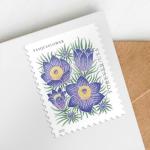Mountain Flora Wedding Stamps: 100 First Class