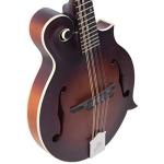 The Loar F-Style Mandolin Honey Creek - LM-310F-BRB