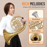 French Horn in B Flat Key - Gold Lacquer