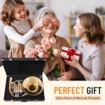 French Horn in B Flat Key - Gold Lacquer