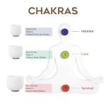 CVNC Set of 3 Frosted Chakra Quartz Crystal Bowls