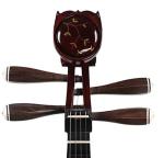 Professional Chinese Lute for VIP Smart Shoppers