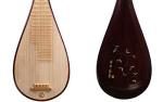 Professional Chinese Lute for VIP Smart Shoppers