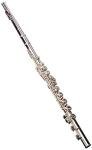 Yamaha YFL-222 Intermediate Flute for Student VIP
