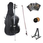 Cecilio Musical Instrument Kit - Full Size, Black