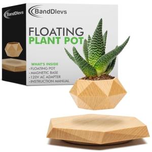 Floating Levitating Plant Pot for Small Plants - Home/Office Decor