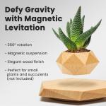 Floating Levitating Plant Pot for Small Plants - Home/Office Decor