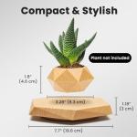 Floating Levitating Plant Pot for Small Plants - Home/Office Decor