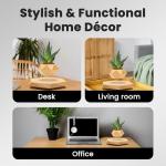 Floating Levitating Plant Pot for Small Plants - Home/Office Decor