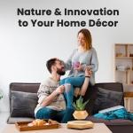 Floating Levitating Plant Pot for Small Plants - Home/Office Decor