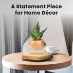 Floating Levitating Plant Pot for Small Plants - Home/Office Decor