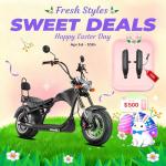 eAhora M1 2 Seater 37MPH Electric Bike for Adults