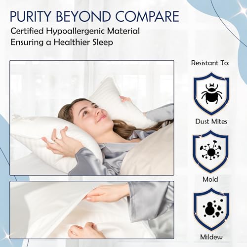 DLNIA Luxury Queen Size Pillows - Stomach/Side Sleepers, Fluffy & Hypoallergenic