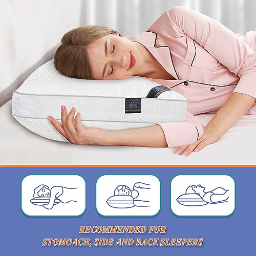Luxury Hotel Collection King Bed Pillows - Set of 2