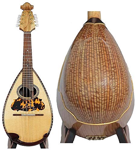 VIP Mandolin: Solid Spruce Top, Indian Rosewood/MapleNavigationView Violin Head