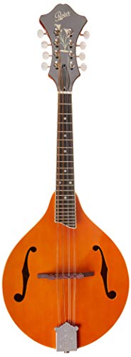 RM-70 Rover VIP 8-String Mandolin