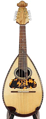 VIP Mandolin: Solid Spruce Top, Indian Rosewood/MapleNavigationView Violin Head