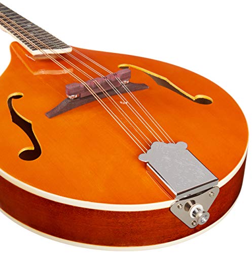 RM-70 Rover VIP 8-String Mandolin