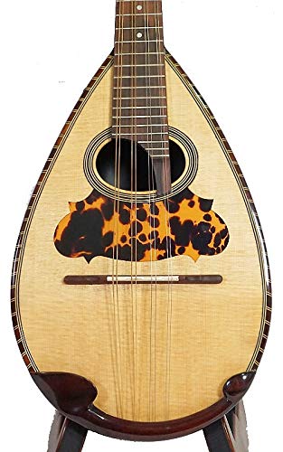 VIP Mandolin: Solid Spruce Top, Indian Rosewood/MapleNavigationView Violin Head