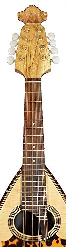 VIP Mandolin: Solid Spruce Top, Indian Rosewood/MapleNavigationView Violin Head