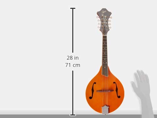 RM-70 Rover VIP 8-String Mandolin