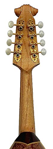 VIP Mandolin: Solid Spruce Top, Indian Rosewood/MapleNavigationView Violin Head