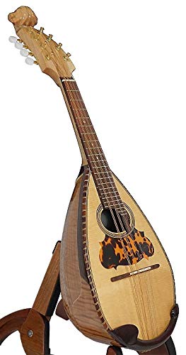 VIP Mandolin: Solid Spruce Top, Indian Rosewood/MapleNavigationView Violin Head