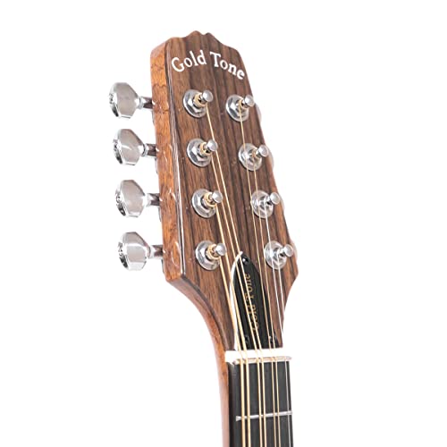 Traditional Irish Gold Tone Mandola with Gig Bag