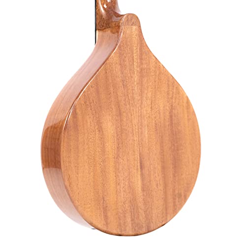 Traditional Irish Gold Tone Mandola with Gig Bag