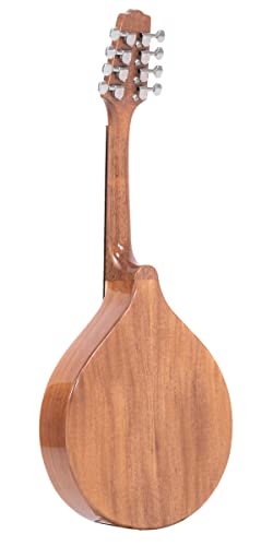 Traditional Irish Gold Tone Mandola with Gig Bag