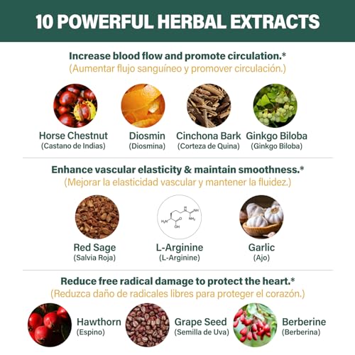 Fuenvegtal Horse Chestnut Blood Circulation Capsules, Castaño de Indias y Diosmina para la Circulacion, Nitric Oxide Supplement for Healthy Blood Flow, Blood Pressure. 90 Counts