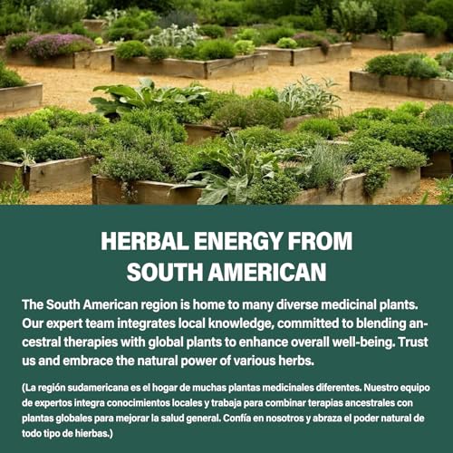 Fuenvegtal Horse Chestnut Blood Circulation Capsules, Castaño de Indias y Diosmina para la Circulacion, Nitric Oxide Supplement for Healthy Blood Flow, Blood Pressure. 90 Counts