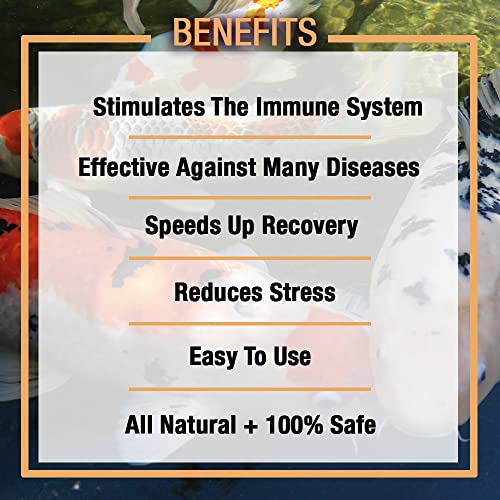 16oz MICROBE-LIFT Sabbactisun Pond Fish Disease Expellant