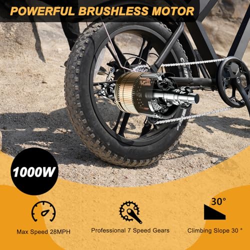 Besintu MOVCAN 1000W Electric Bike for VIP Riders