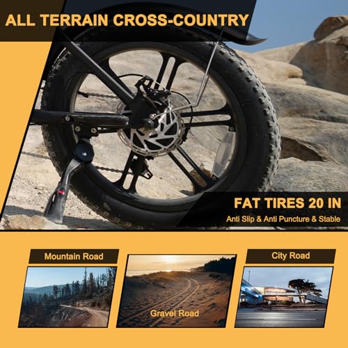 Besintu MOVCAN 1000W Electric Bike for VIP Riders