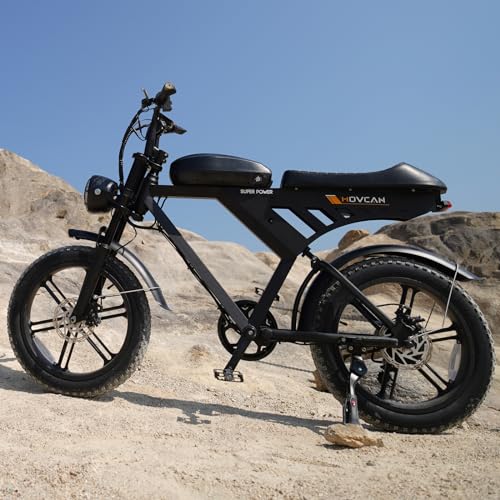 Besintu MOVCAN 1000W Electric Bike for VIP Riders