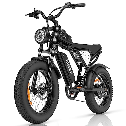 Ridstar 1000W Electric Fat Tire Adult Ebike