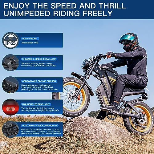 VIP Electric Dirt Bike with 1500W Motor