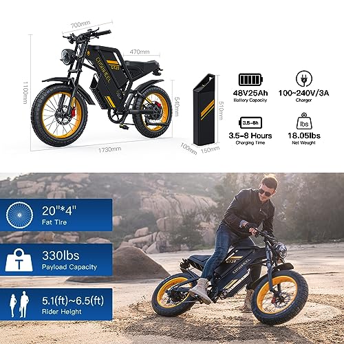 VIP Electric Dirt Bike with 1500W Motor