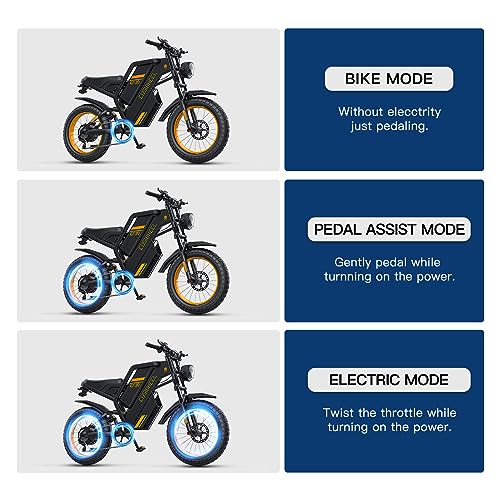 VIP Electric Dirt Bike with 1500W Motor