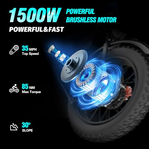 Ridstar Adults Electric Bike Q20, Powerful E-Bike Terrain