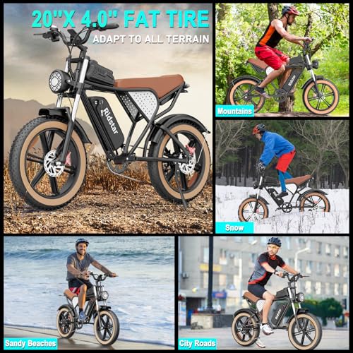 Bopzin Electric Fat Tire Bike, 2000/1500/1000W, 37/33/30MPH