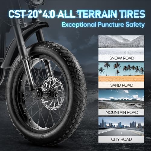 FT-01 Electric Bike for Adults 30/36MPH, Long Range, Removable Battery
