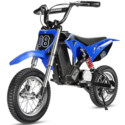 36V 350W Kids Electric Dirt Bike - Fast Speed & Long-Range