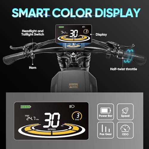 FT-01 Electric Bike for Adults 30/36MPH, Long Range, Removable Battery
