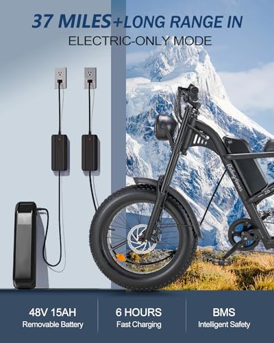VIP Winter Ebike: 1500W, 28MPH, 75 Mile Range